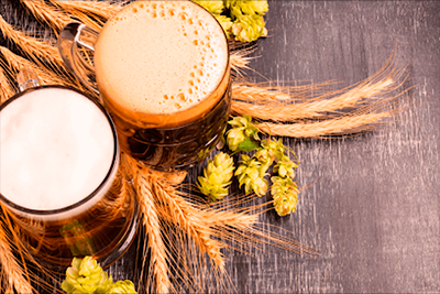 IBU da cerveja: o número que muda tudo no primeiro gole.